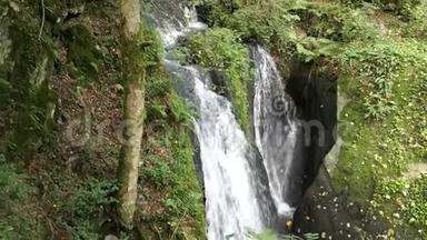 参观瀑布死亡劳斯奇在野生安德特溪旁边的科赫姆，莫塞尔河德国。 瀑布高7米，水流湍急