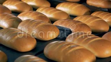 准备好的面包从烤箱里出来。 食品加工厂。