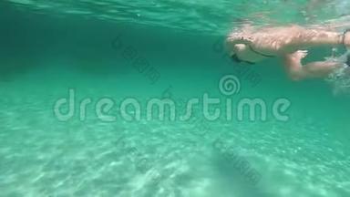 一位穿着黑色比基尼的年轻美女从水下自由泳和透明海豚泳中慢动作