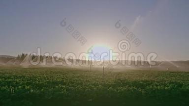 日落时，许多<strong>撞击</strong>喷头灌溉农田的开阔视野