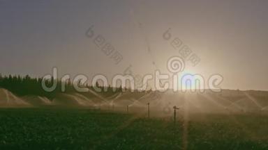 日落时，许多撞击喷头灌溉农田的开阔视野