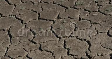法国东南部卡马尔盖沼泽的干旱，<strong>实时</strong>