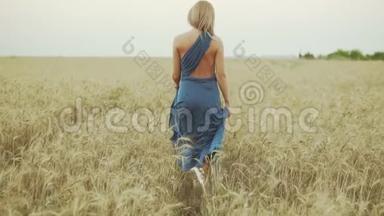 在金色麦田里走过的金发碧眼的女人的背影。 自由