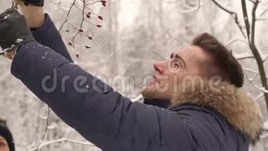 冬天，那家伙用浆果折断树枝