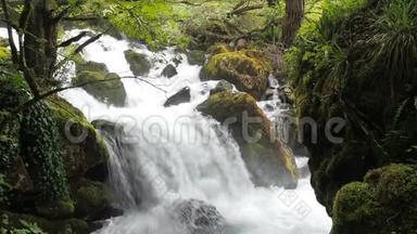 潮湿的热带森林中的瀑布。 暴风骤雨的河流。 干净的水上升，泡沫。 暴风雨的小溪