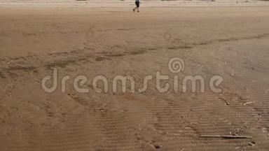 带肋的沙子-波罗的海海湾海滩与白沙在日落-4K视频与缓慢的相机运动和内部