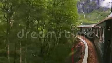 绿色<strong>火车</strong>在山林中<strong>行驶</strong>.. 山丘。 绿色植物。 夏日。 景观。 大自然