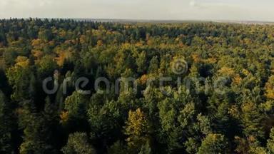 夏季喀尔巴阡山<strong>童话</strong>般的绿色<strong>森林</strong>的空中拍摄