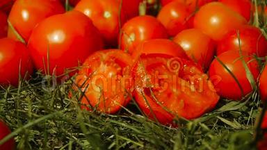 一个半切的<strong>西红柿</strong>躺在其他<strong>西红柿</strong>旁边的绿草上。