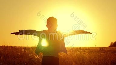 日落时分，金色田野里的小女孩幸福地举起双手。 美丽快乐小女孩剪影