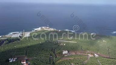 西班牙加那利群岛拉帕尔马岛香蕉种植