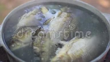 用金属锅煮的鱼的汤。