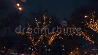 夜晚用圣诞<strong>彩灯装饰</strong>树木.