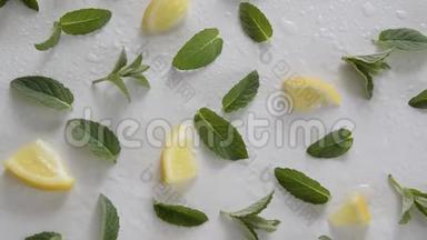 白色背景下柠檬片和薄荷草本植物的俯视图