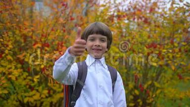 一年级学生玩得开心，带着背包在户外对着镜头笑的可爱男孩的画像