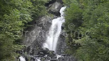 高加索山脉中的瀑布被许多松树和灌木所包围，最终汇入山河