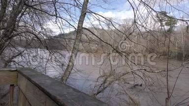 佐治亚州，查塔霍切河，透过树木仰望河流，河流<strong>的声音</strong>。
