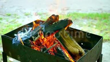 烤架上烧煤用的木柴，特写。木头在烤架上燃烧，火把树包围在