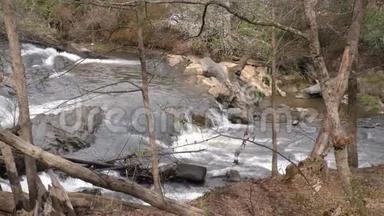 乔治亚州，斯威沃特溪公园，斯威沃特溪支流上的瀑布