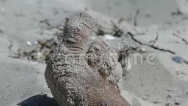 夏天，一个男人<strong>脚踩</strong>在沙滩上的特写镜头。