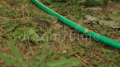 漏水。 在花园里的软管上形成橡胶管或孔。