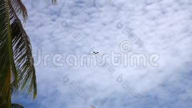 雅鲁藏布江风筝在天空棕榈树附近飞翔