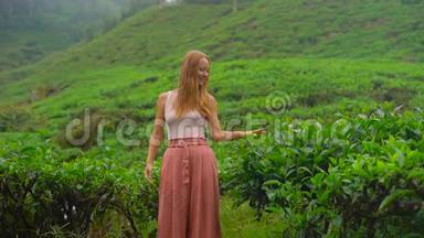 一名年轻女子参观高地茶园的慢镜头。新鲜，茶的概念
