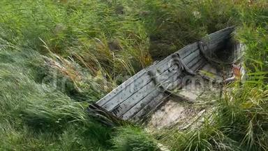 破旧的木船躺在灌木丛中