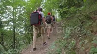 在森林里散步的年轻徒步旅行朋友小组。 带背<strong>包</strong>旅行的青少年的后后视图。 <strong>高清高清</strong>