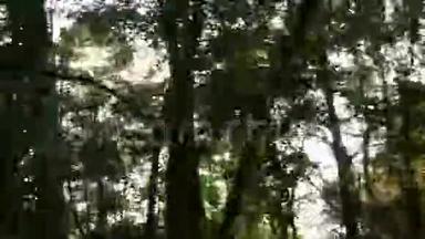 汽车行驶在一条绿树成荫的乡村道路上的录像。 太阳从树林里照进来，一路向前