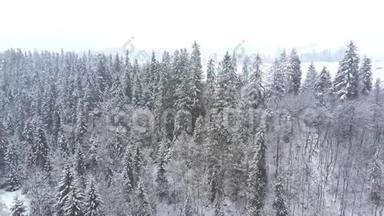 波兰南部一个白雪皑皑的冬季风景的<strong>长空</strong>空中片段，塔特拉山