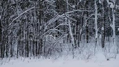 冬天的<strong>雪景</strong>在森林里有雪堆和<strong>树木</strong>。