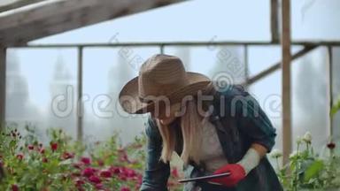 美女花商拿着平板电脑在温室里<strong>走来走去</strong>，查看种植的玫瑰，记录下