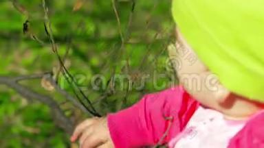 在<strong>晴朗</strong>的初秋，一个小孩子轻轻地触摸公园里的树枝。