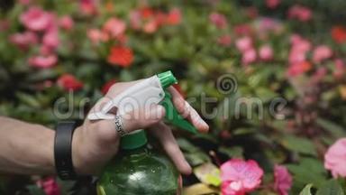 用喷雾器在温室里浇水，把年轻人关起来。 <strong>爱护植物</strong>，健康，生态.. 漂亮的手