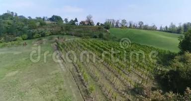 意大利山坡上的葡萄园，葡萄园之间的小山上的房子，山坡上的一排排葡萄园，空中，小屋