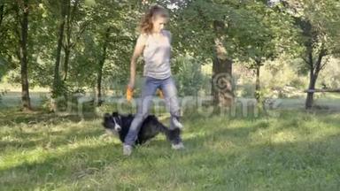 边境科利展示了一个技巧，在一个阳光明媚的日子里，一个女孩在公园里的腿上旋转，慢动作拍摄