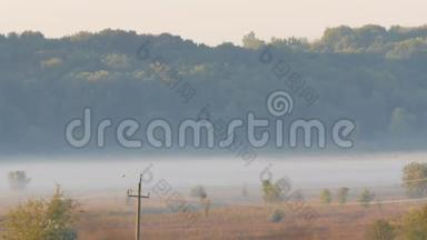 美丽的风景雾蒙蒙的村庄平原。 秋雾背景下的电力线路