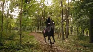 在秋天的森林里骑马。 专业女骑手在公园驰骋：年轻的女骑手骑在一匹阴凉的马上