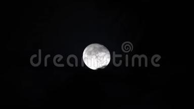 在神秘的黑暗夜空满月。 万圣节的幽灵主题。 月光下的棕榈树