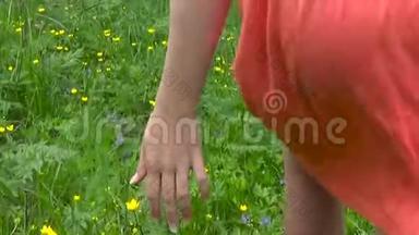 年轻女子手忙脚乱地跑过绿色的野草场，触摸野花特写.. 高清视频镜头拍摄
