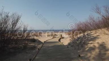 从海滩沙丘森林出发的新的木路，用松树和白色送到波罗的海海湾-拉脱维亚的Vecaki