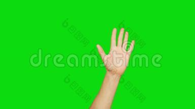 左手举起<strong>吸引眼球</strong>的色度关键背景。 阿尔法通道，按键绿色屏幕..