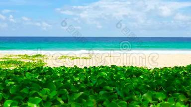 西海岸普吉岛泰国美丽的海滩海在夏季太阳。 4K，超高清视频剪辑