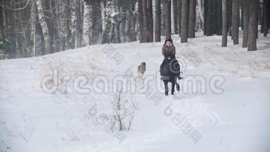 长发女骑手狂野而<strong>快速地</strong>骑着黑马穿过雪<strong>地</strong>，狗在附近奔跑，动作缓慢