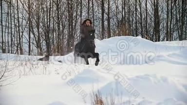 美丽的长发女骑手骑着一匹黑马在雪地里<strong>奔跑</strong>，狗在附近<strong>奔跑</strong>