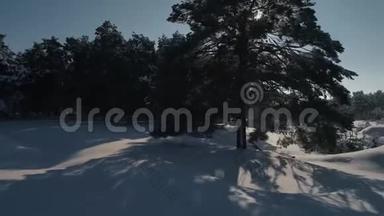 冬林空中摄影.. 白雪覆盖的松树的俯视图。 大雪中高大的树木