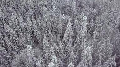 空中拍摄的覆盖着群山的白雪覆盖的树木，直<strong>到头</strong>顶拍摄