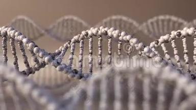 多个纺丝DNA分子.. 遗传疾病，现代科学或分子诊断的概念.. 4K无缝环
