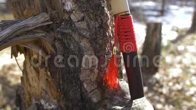 日本短剑，<strong>红</strong>色<strong>流苏</strong>，靠近树